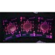King Star Moon (Black Holo) Premium Oyun Kağıdı  Koleksiyonluk iskambil Kartları Destesi