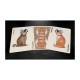 Bicycle Poker Cats V2 Premium Oyun Kağıdı Limited Edition Koleksiyonluk iskambil Kartları Bicycle Poker Cats V2 Premium Oyun Kağıdı Limited Edition Koleksiyonluk iskambil Kartları