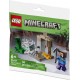 LEGO Minecraft 30647 The Dripstone Cavern Steve Creeper Oyuncakları