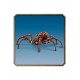 Lego Harry Potter Aragog Yasak Ormanda 76434 (195 Parça)