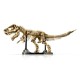 Lego Iconic Jurassic World Dinozor Fosilleri: Tyrannosaurus Rex 76968 (3141 Parça) Lego Iconic Jurassic World Dinozor Fosilleri: Tyrannosaurus Rex 76968 (3141 Parça)