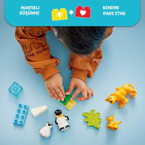 Lego Duplo Vahşi Hayvan Aileleri: Penguenler ve Aslanlar 10442 (10 Parça)