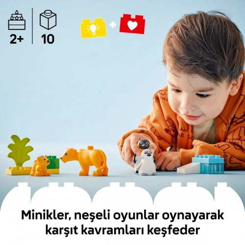 Lego Duplo Vahşi Hayvan Aileleri: Penguenler ve Aslanlar 10442 (10 Parça)