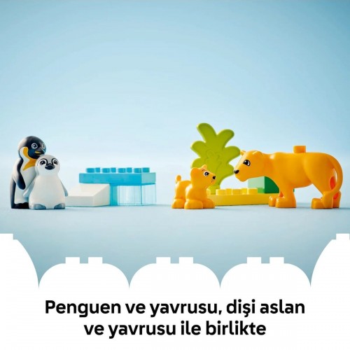 Lego Duplo Vahşi Hayvan Aileleri: Penguenler ve Aslanlar 10442 (10 Parça)
