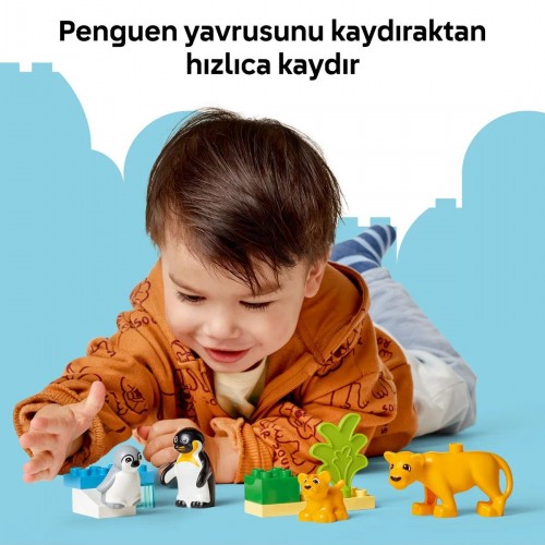 Lego Duplo Vahşi Hayvan Aileleri: Penguenler ve Aslanlar 10442 (10 Parça)
