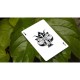 Legends Playing Cards Mantis Premium Oyun Kağıdı iskambil Kartları Destesi
