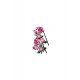 Lego Botanicals Pembe Gül Buketi 10374 (789 Parça) Lego Botanicals Pembe Gül Buketi 10374 (789 Parça)
