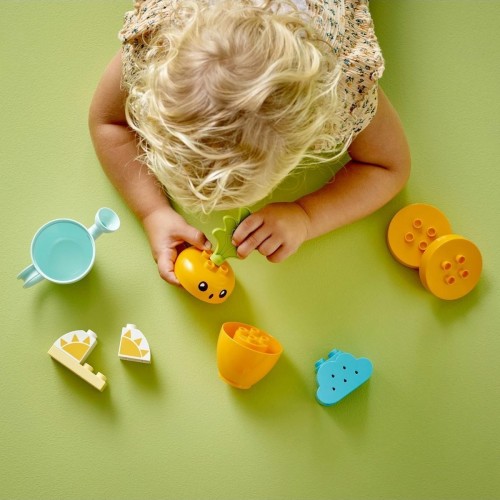 Lego Duplo ilk Büyüyen Havucum 10981 (11 Parça)