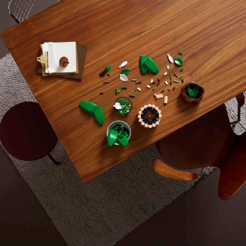 Lego Botanicals Barış Çiçeği 11504 (474 Parça)