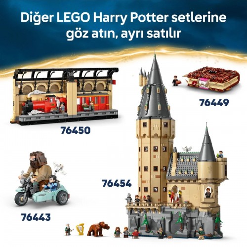 LEGO Harry Potte Fawkes Dumbledore’un Anka Kuşu 76448 Yapım Seti (299P)