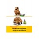 LEGO 31376 Sevimli Hamster ile Cicek LEGO Creator 31376 Sevimli Hamster ile Cicek