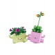 LEGO 11506 Sallanan Bitkiler LEGO Botanicals Sallanan Bitkiler 11506