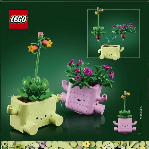 LEGO 11506 Sallanan Bitkiler LEGO Botanicals Sallanan Bitkiler 11506