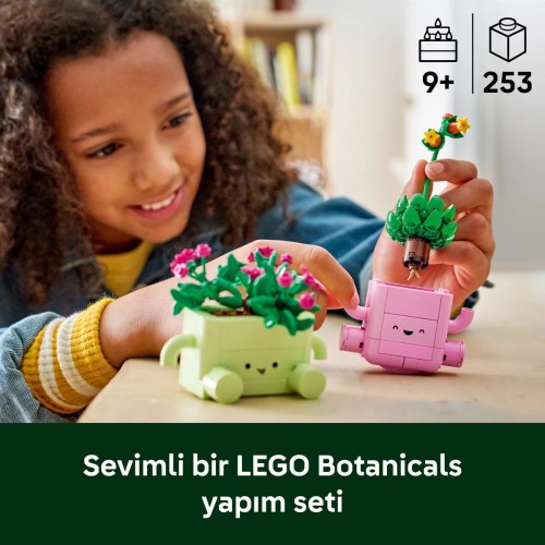 LEGO 11506 Sallanan Bitkiler LEGO Botanicals Sallanan Bitkiler 11506