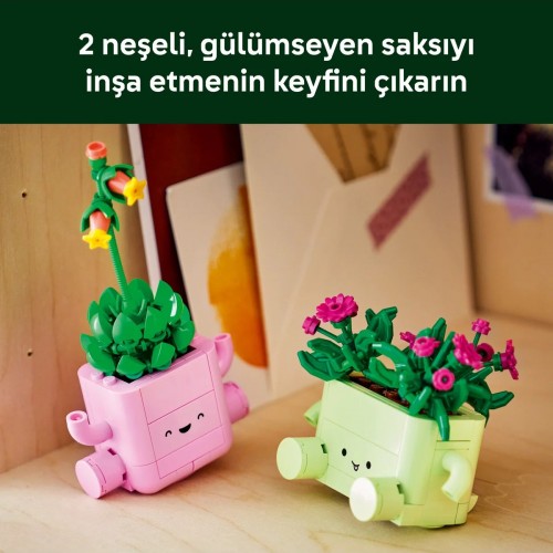 LEGO 11506 Sallanan Bitkiler LEGO Botanicals Sallanan Bitkiler 11506