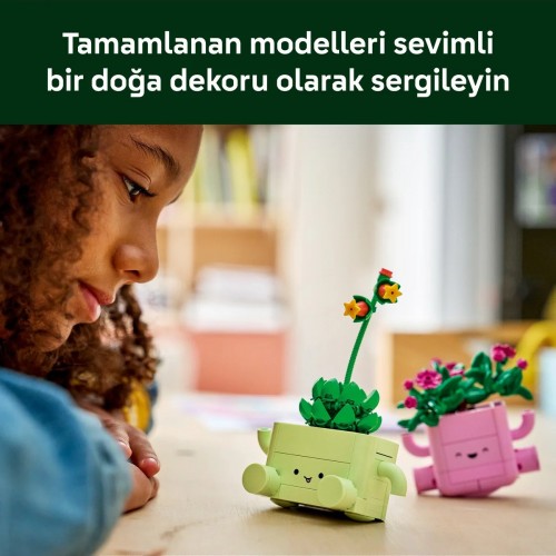LEGO 11506 Sallanan Bitkiler LEGO Botanicals Sallanan Bitkiler 11506